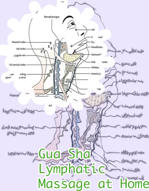 Lymphatic drainage face tool