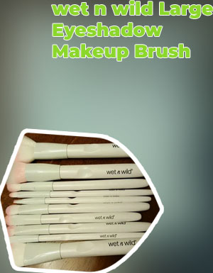 Wet n wild eyeshadow brush